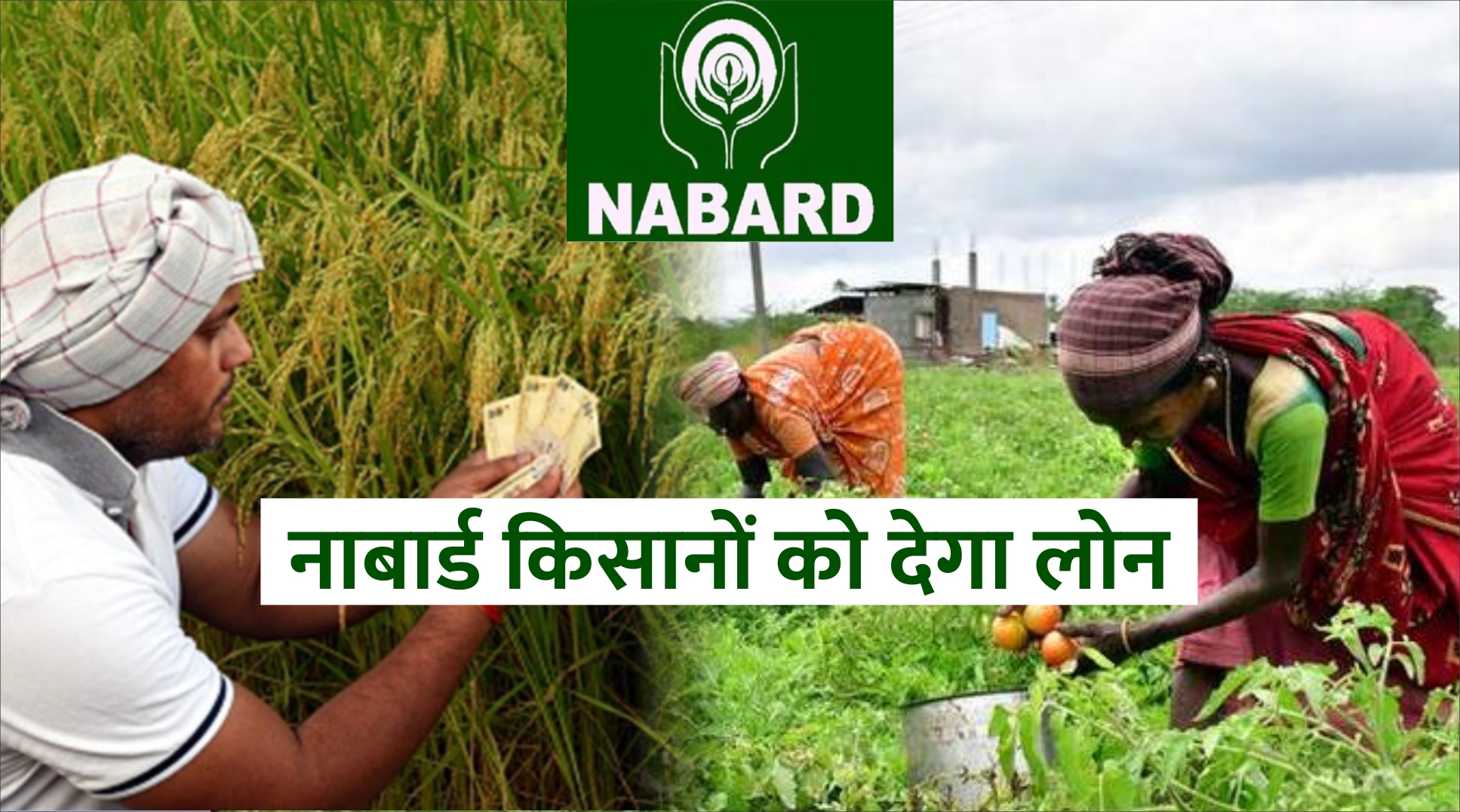 NABARD दग करड रपए क लन कसन क मलग आरथक मदद nabard