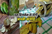 गांव व शहर के युवा कम लागत में शुरू करें ये बिजनेस, सालभर होगी अच्छी कमाई -  Krishi Jagran Hindi