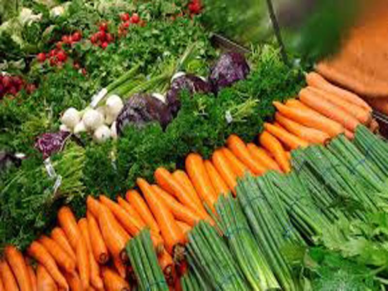 organic farming