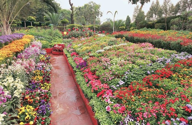 horticulture
