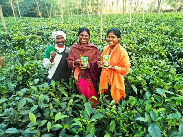 Tea