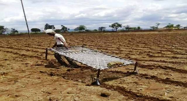JALGAON FARMER khatiya se jutaai