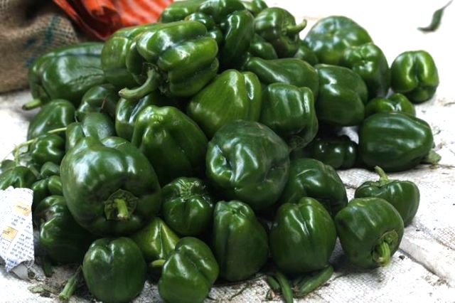 vegetable-farming