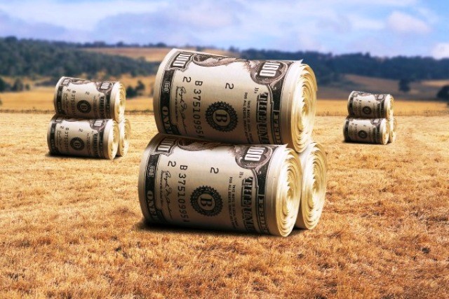 rich farmers