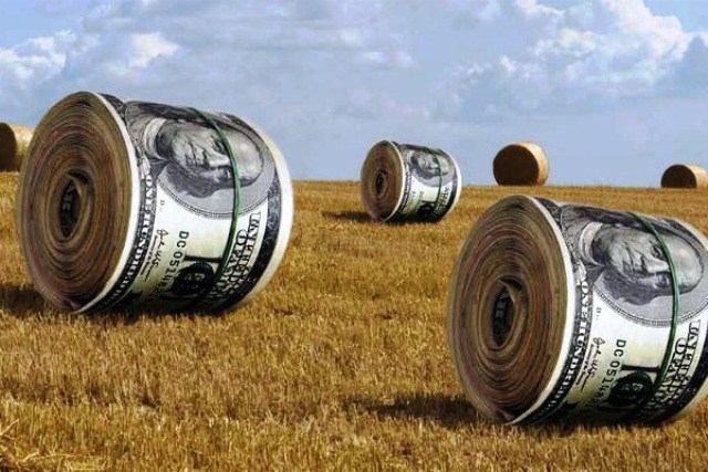 rich farmers