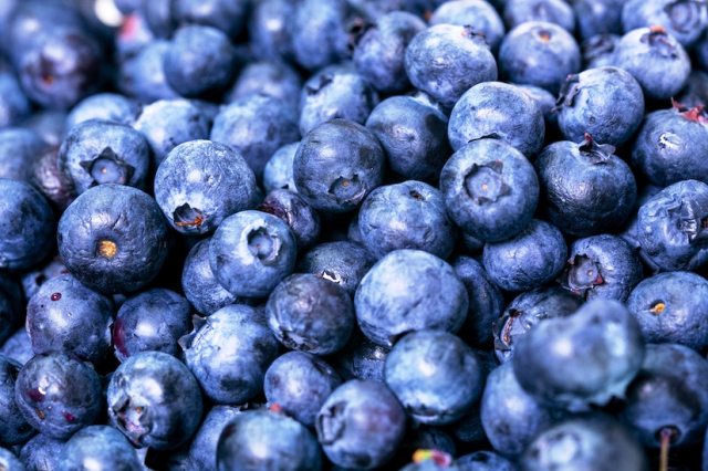 abundance-antioxidant-berries