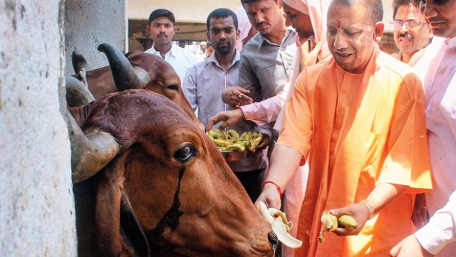 national cow mission