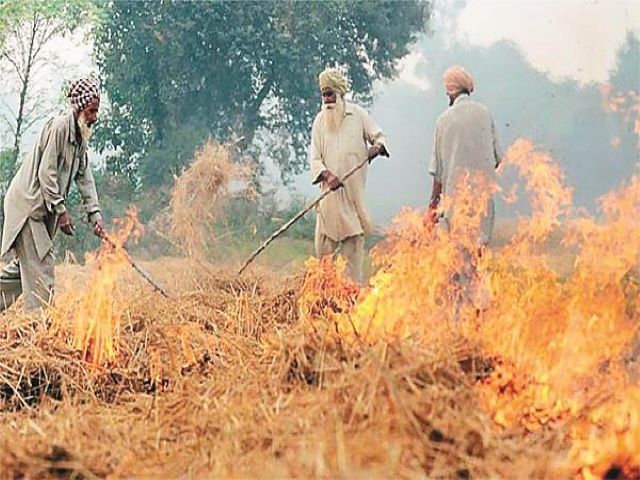 burning of crop