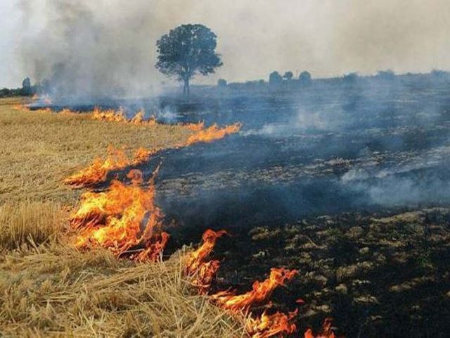 burning of crop residues