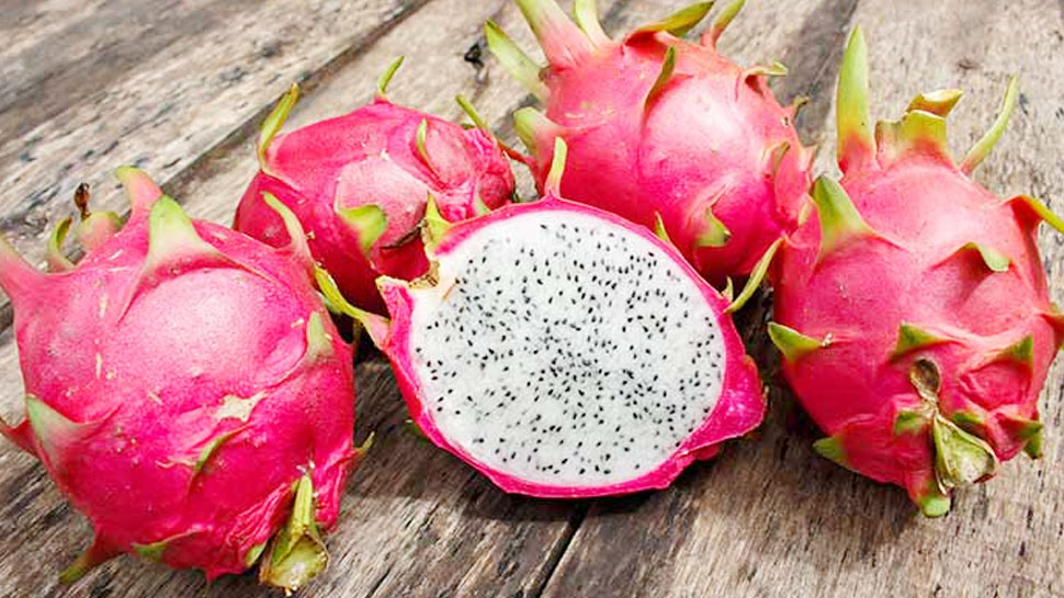 dragon frutis