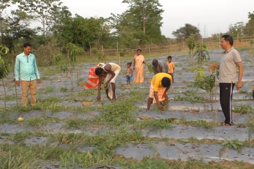 FARMERS FARMING