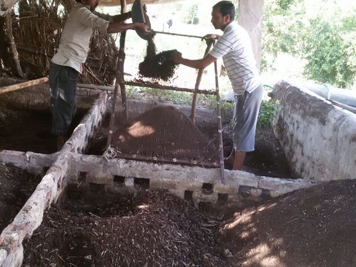 vermicompost