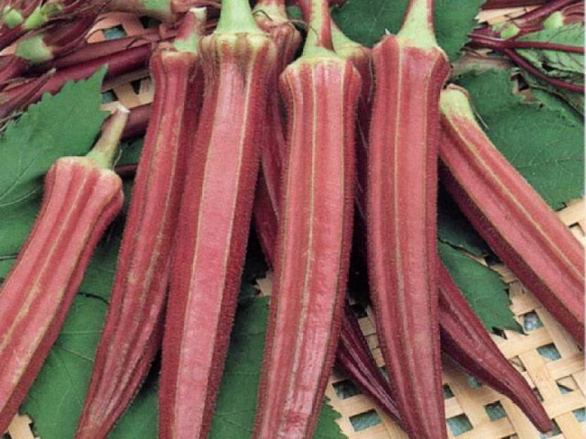 bhindi