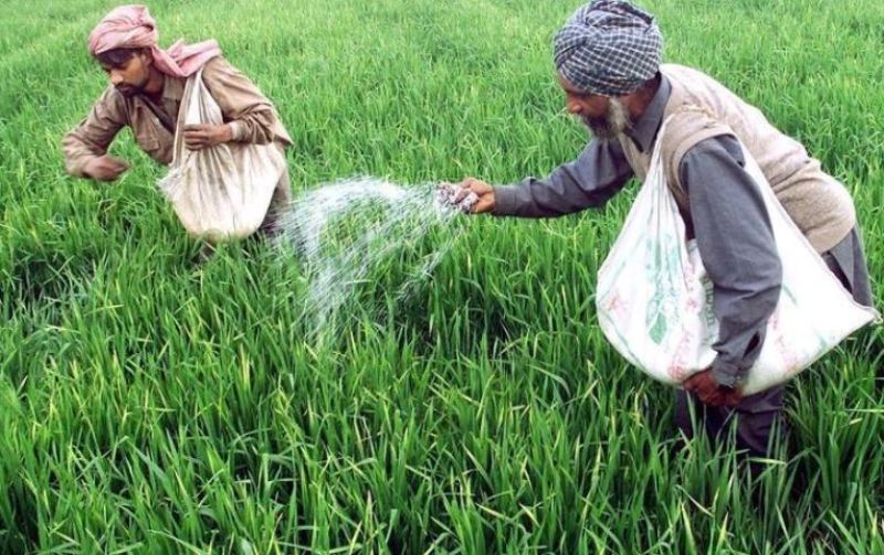 farmers