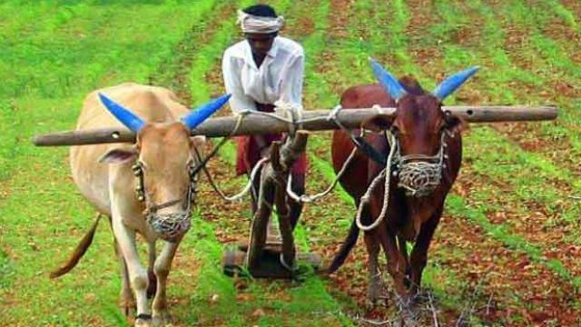 farmers