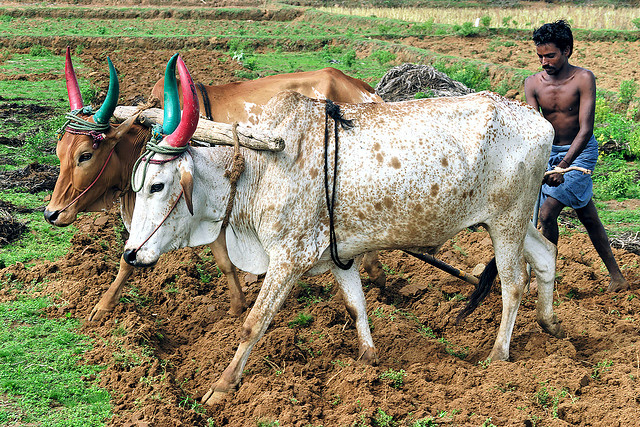 farmers