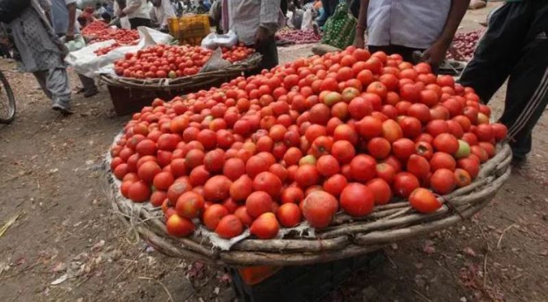 tomato
