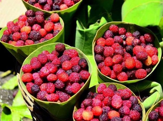 berries