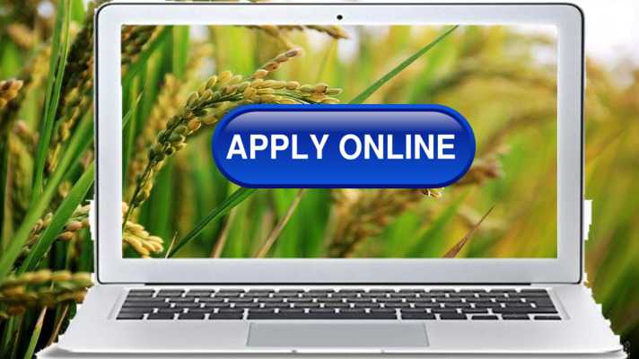 apply online