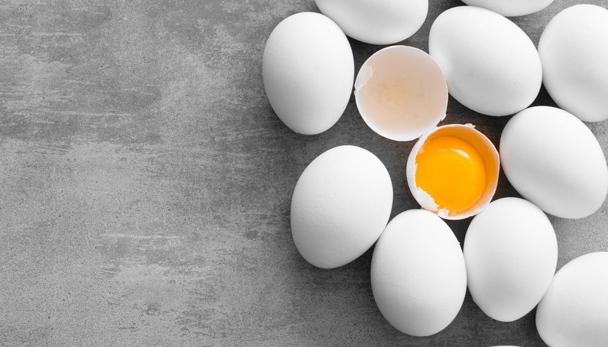 egg