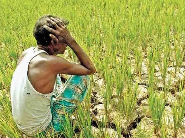 farmers