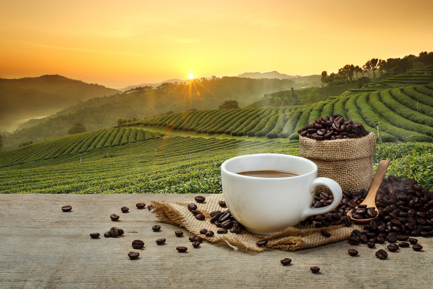 coffe