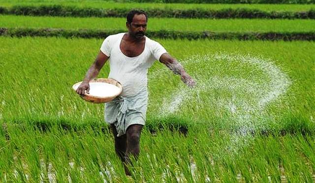 agro news news agricuture