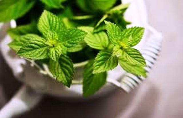 health tips and mint mint tips