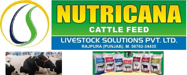 nutricana