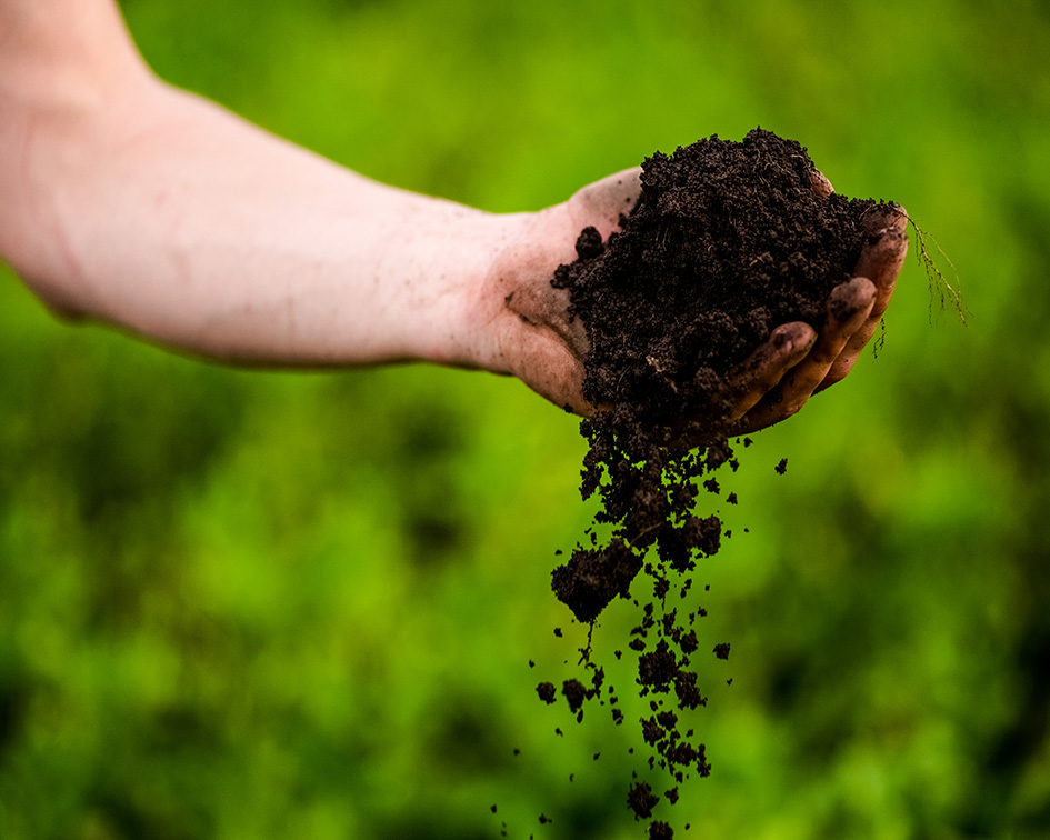 Soil feryilliy