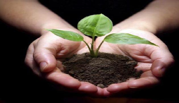 increase soil fertiliy