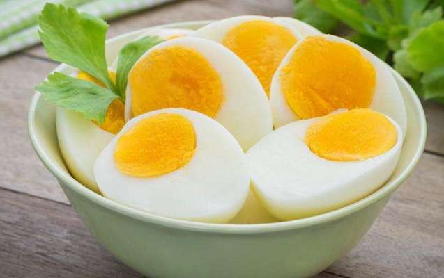 egg protein