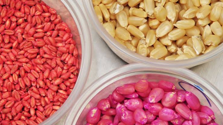 seed treatment