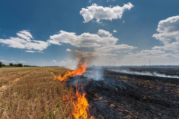 stubble burn