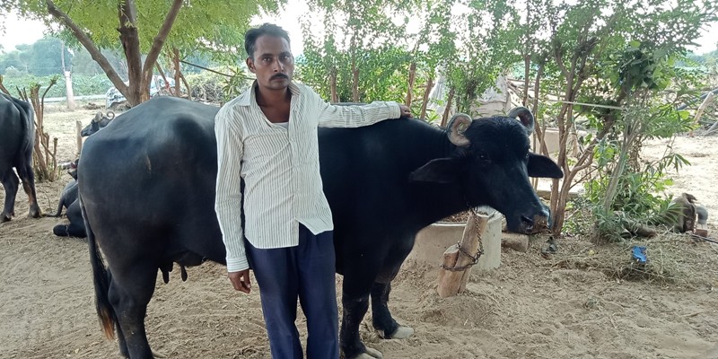 farmer