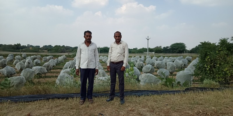 farmers