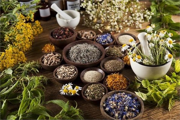 herbal garden