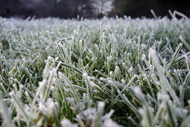 frost