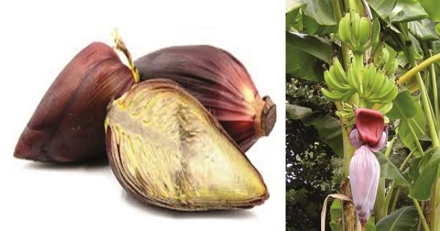 banana flower side effects during pregnancy