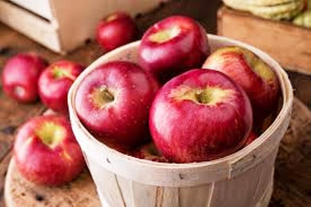 profit from apple uttrakhand apple