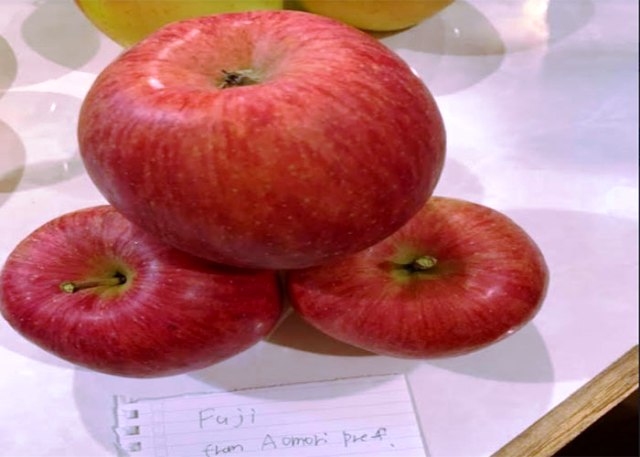 fuzi apple