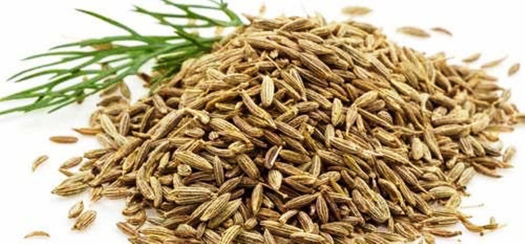 Cumin and farming