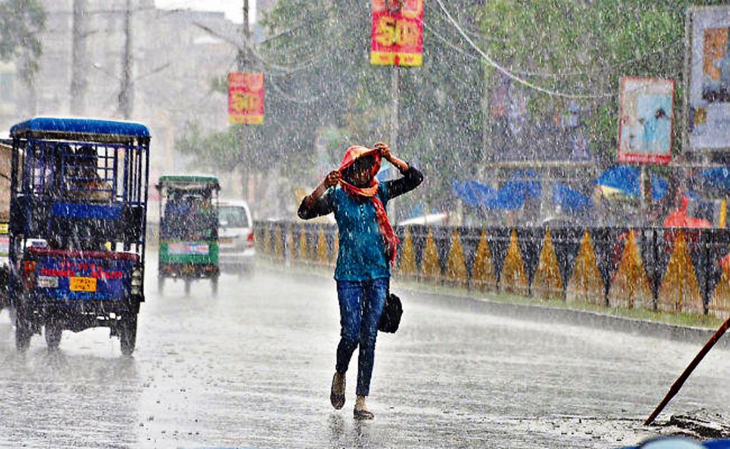 weather forcasting Agriculture