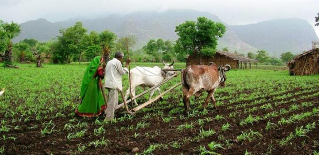 Organic farming method
