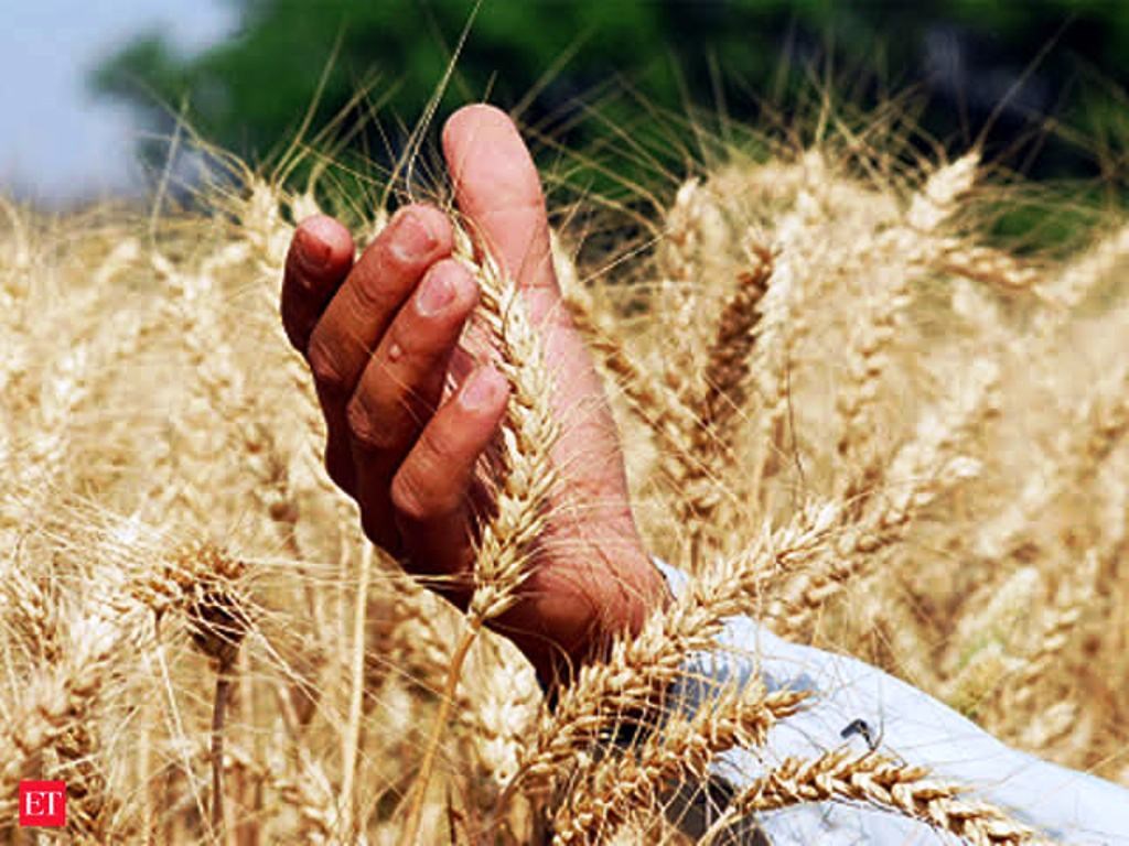 farmers disappointed