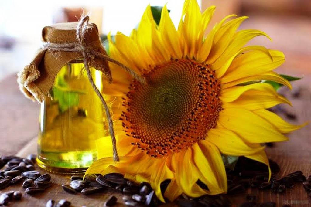 sunflower oil benefits for hair