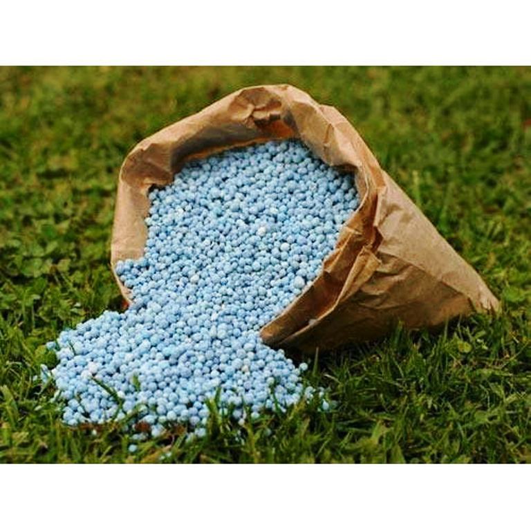 Impact on Agriculture and Farmers