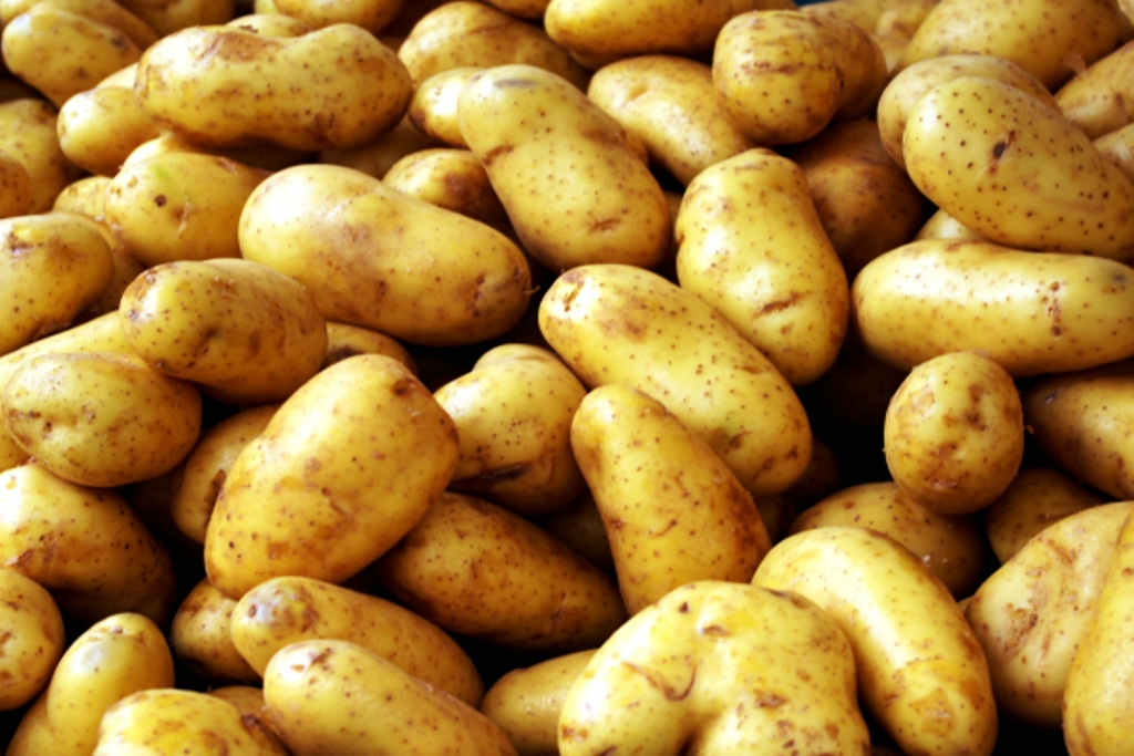 Potato production