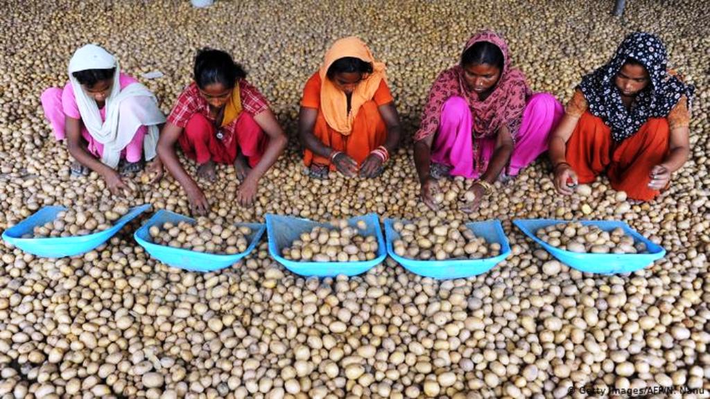 International Potato Center in Uttar Pradesh