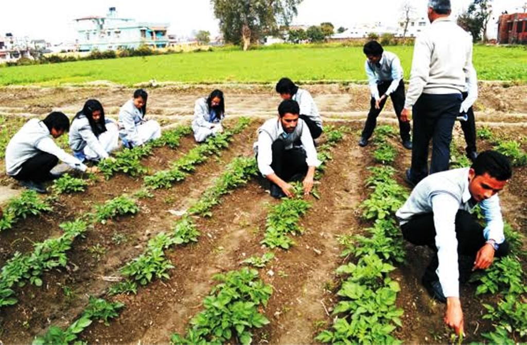 agricultural-education-day